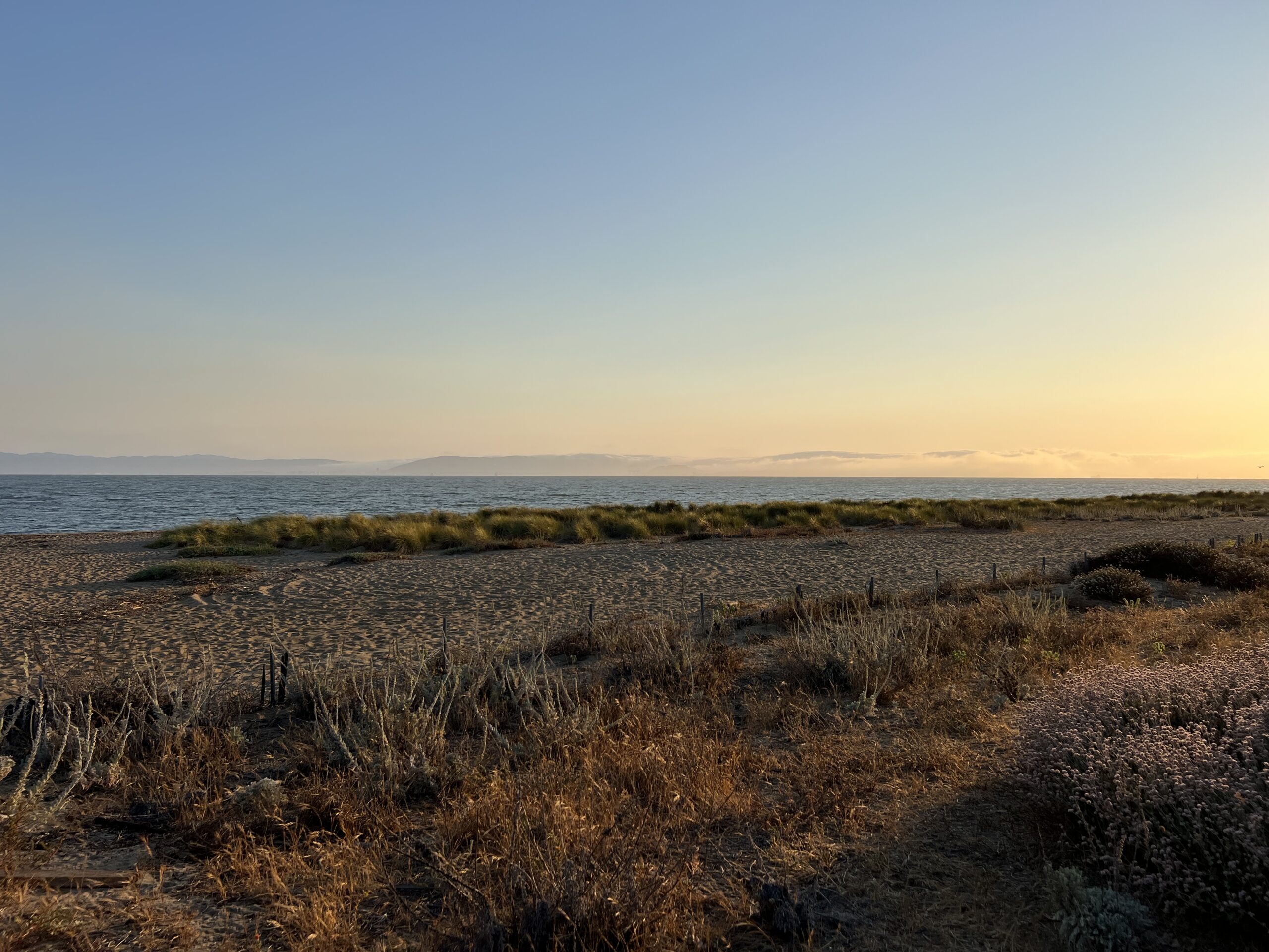 Summer sunset